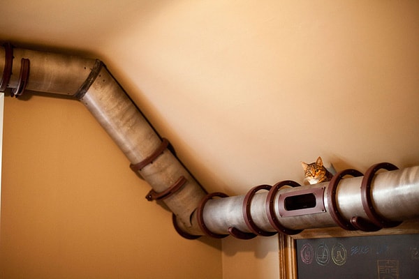 Indoor Plumbing System For Cat