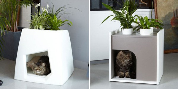 Planting Trees While Keeping Cats Is A Logical Solution