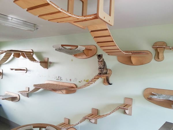 Playground On The Ceiling