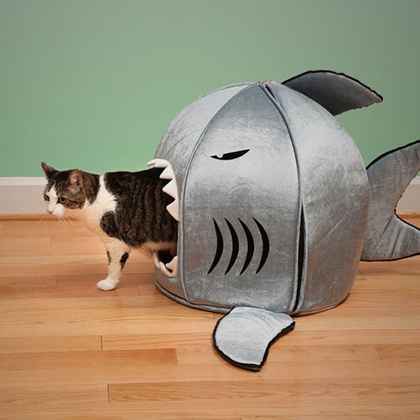 Shark Bed For Cats