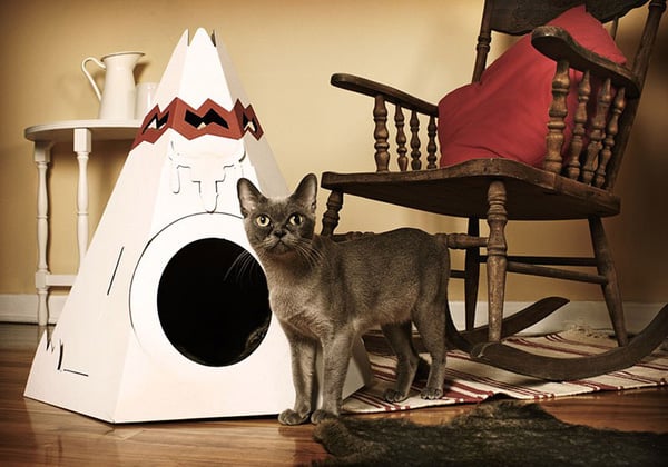 Tent For Cats
