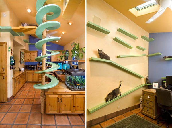The Dream Home For Naughty Cats