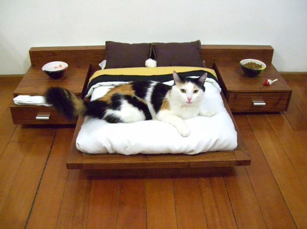 Tiny Bed For Cats