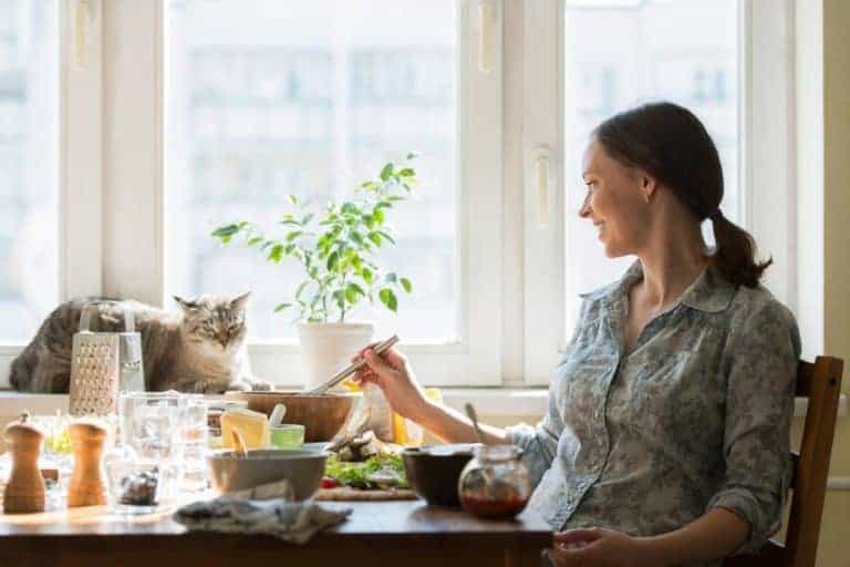 Low Sodium Cat Food for Your Pet’s Wellness