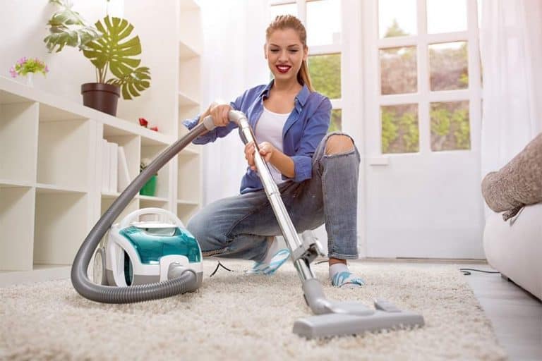 What Do You Want To Know About The Best Cordless Vacuum Pet Hair 2024?