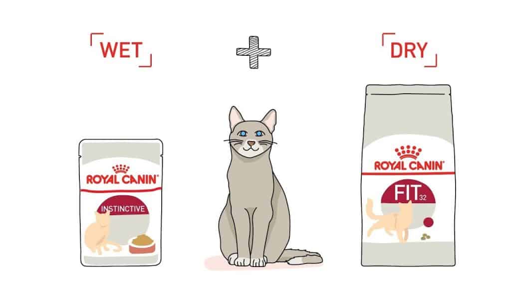 mix wet and dry cat food