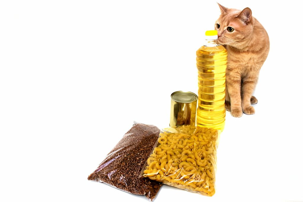 High Protein Low Carb For Cat Food