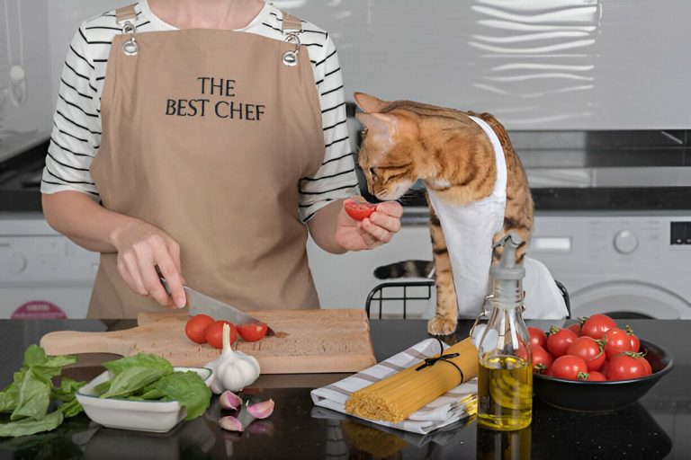 Cat Cuisine: Homemade Recipes Tailored for Your Feline Friend