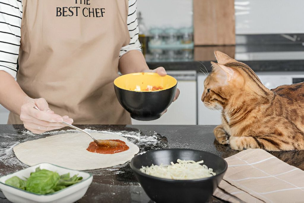The-Homemade-Cat-Food-Recipes